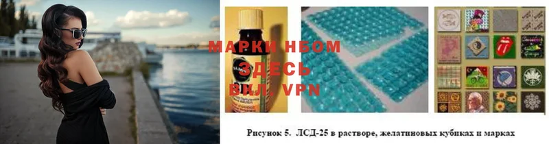 ссылка на мегу как войти  Людиново  Марки N-bome 1,8мг 